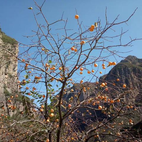 2018秋韵太行·诗画平顺