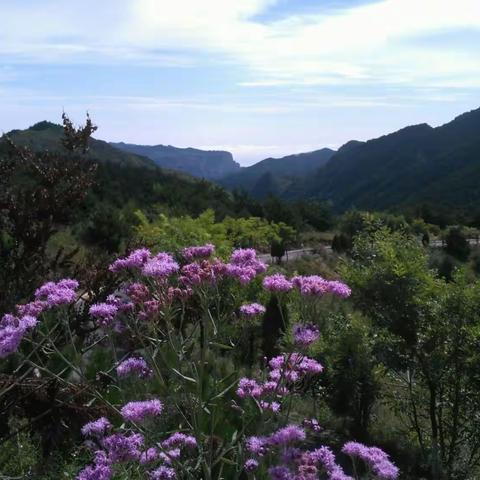 这里的金秋真美丽——山水太行.诗画平顺