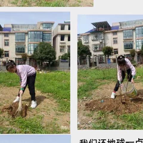 植树造林，美化祖国