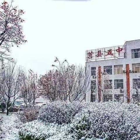 不负芳华，逐梦前行——记莒县第五中学小学部青年教师汇报课