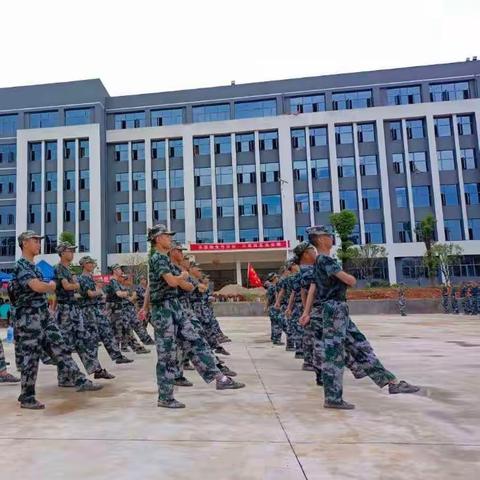 你认真的样子 便是最美的风景