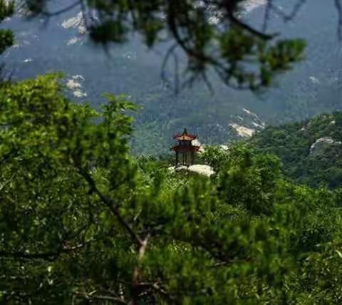 昆嵛山国家森林公园