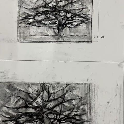 温岭育才中学第三节课