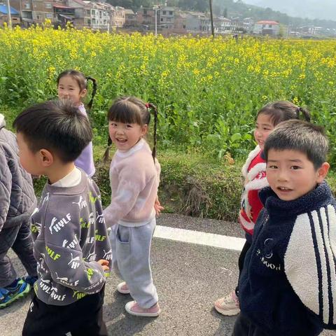 杨坊幼儿园赏花之旅