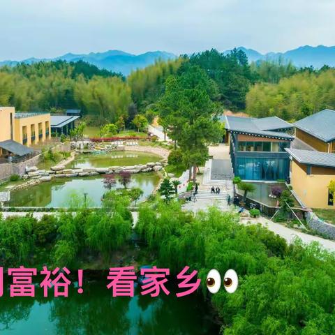 金秋风送爽，乡村寻最美——柯城区实验小学五（2）班“寻最美乡村”活动