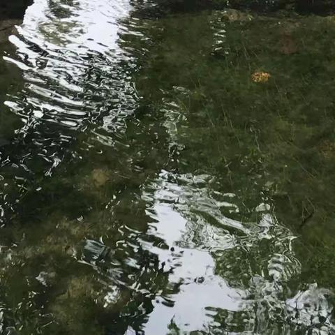 最神奇的还是八公山脚下的珍珠泉，你去过了吗