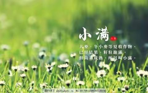 【矿业小学】二十四节气之小满——了解中华传统文化