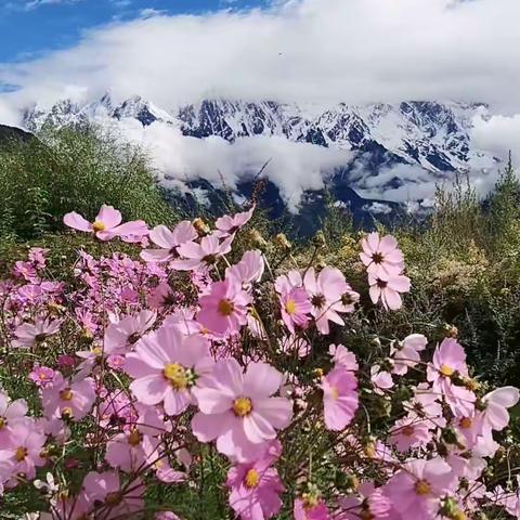 南迦巴瓦峰