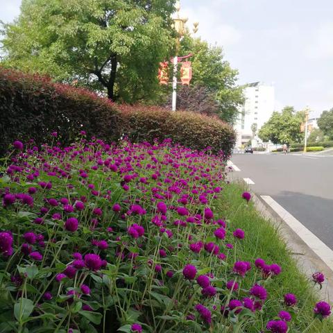 你是这样的人吗