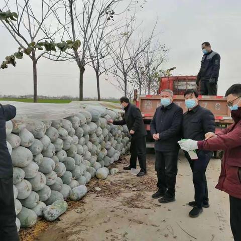 建安区农业农村局蔬菜促销工作掠影