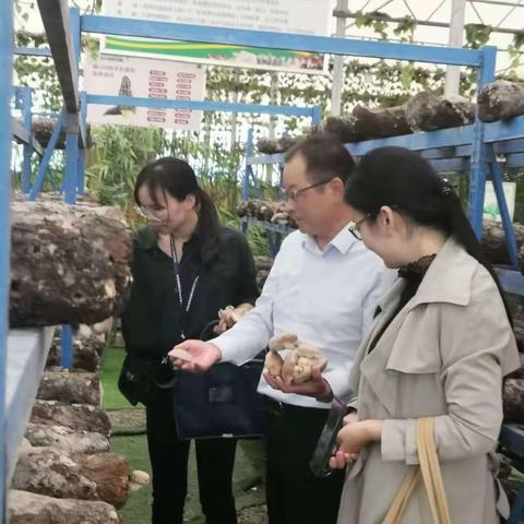 建安区加强中秋、国庆和党的二十大食用农产品质量安全监管