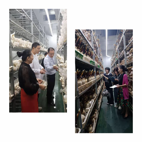 建安区农业农村局加大抽检力度 确保国庆二十大农产品质量安全