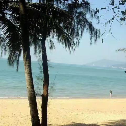 海南逗留