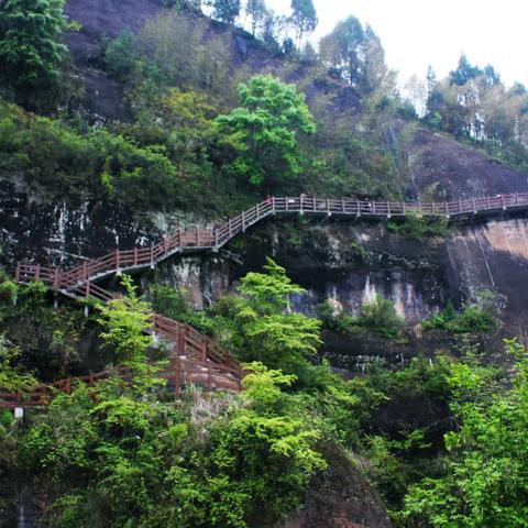 庚子仲春游龙山太平山