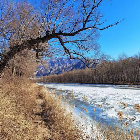 冬日暖阳，骑游南大桥湿地
