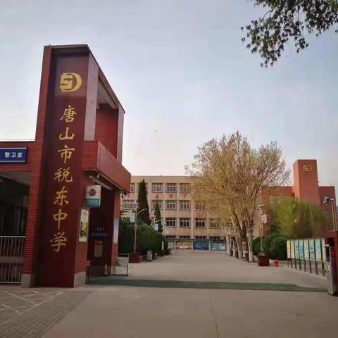 心守一抹暖阳，静待一树花开——七年级组师生风采