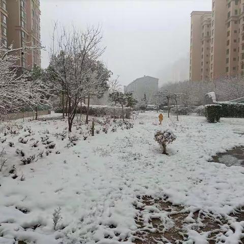 雪之乐（花儿朵朵班寒假实践活动二）