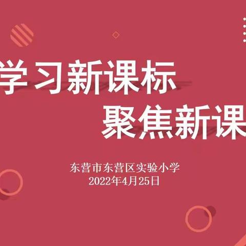 学习新课标      聚焦新课改    ——   东营区实验小学新课标培训活动