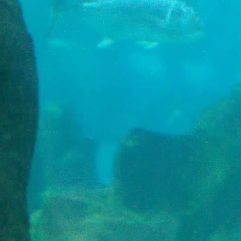 海洋馆