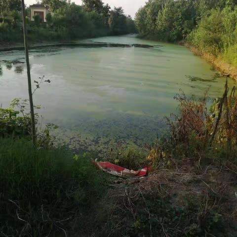 珍爱生命，关爱为先，切实做好防溺水工作，黄集村开展宣传安全教育知识活动