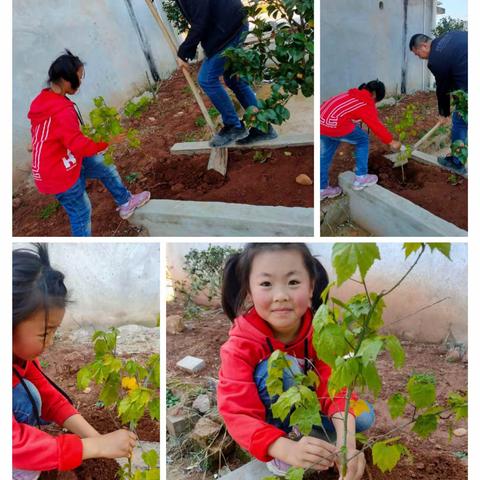 我与小树共成长，6年后看看能有多大——记泉小一(1)班植树节