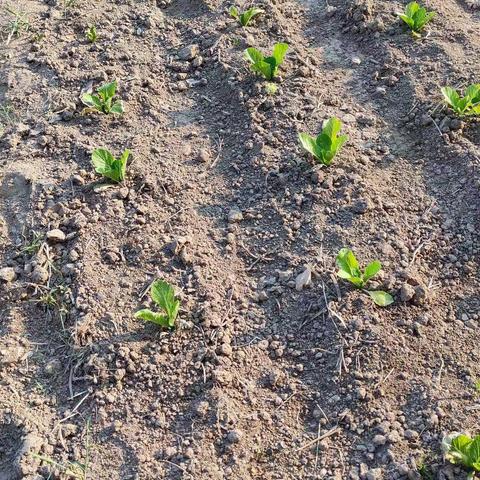 滨北如康家园美好的一天#滨北如康家园