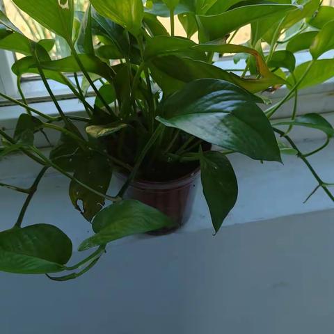 滨北如康家园美好的一天#滨北如康家园