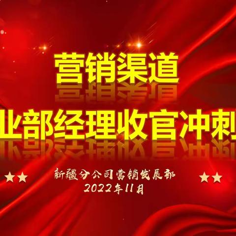 新疆分公司11月营销渠道营业部/点经理收官冲刺会