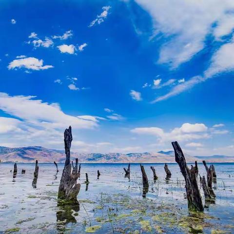 七彩云南之大理行