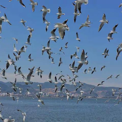 七彩云南之昆明行