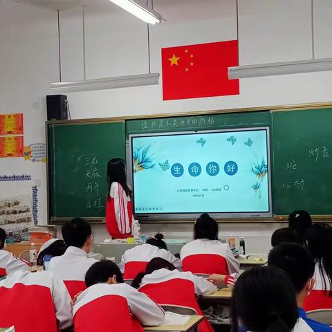 生命，你好