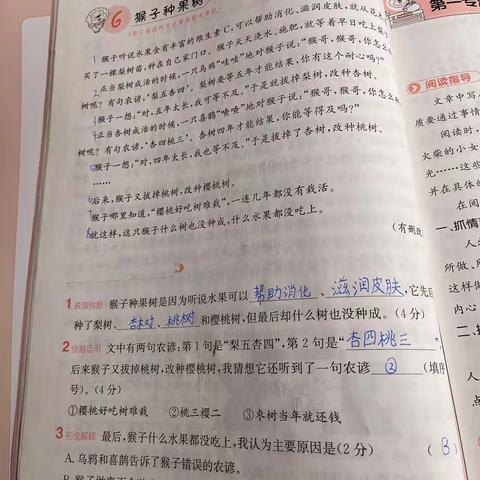 杨捷然的自主作业