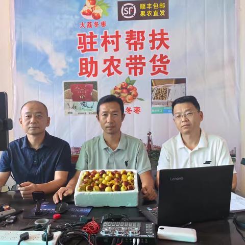 线上线下齐发力  多元渠道促增收省检察院驻村工作队助力大荔冬枣销售