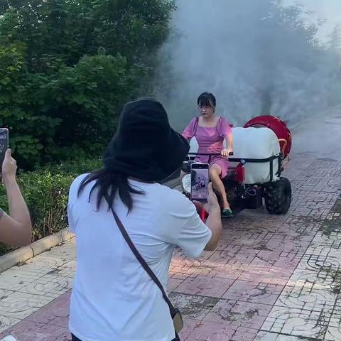 新款双动力风送打药机  两个发动机设计，一个柴油机负责行走，一个柴油机负责打药，两个发动机合计20.5马力