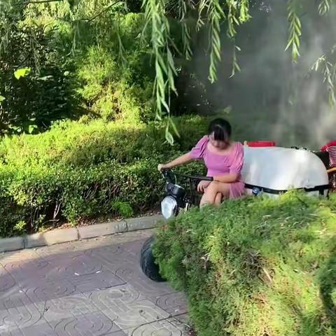 请注意⚠️这是拥有2个发动机的风送打药机，果园打药就得用机械化，低矮柴油双动力风送打药机，双引擎两个发动机