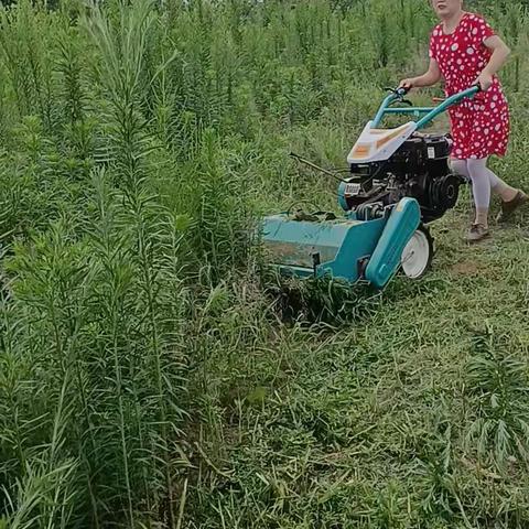 自走式碎草还田机