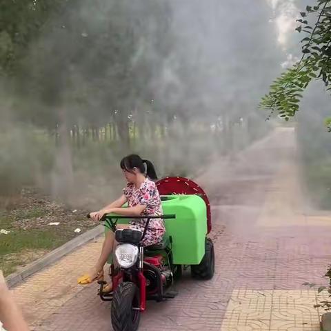 新款双动力风送打药机 两个发动机设计，一个柴油机负责行走，一个柴油机负责打药，两个发动机合计20.5马力