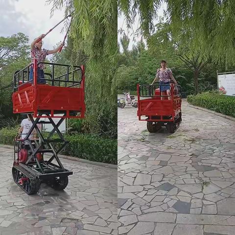 履带运输车，风送打药机，载重1000kg，柴油13马力电启动的，电子液压自卸。机器高度1米宽度1米，长度2.3米