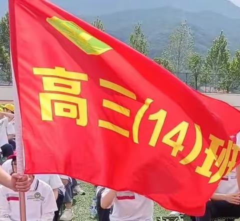 年少归来，风流如画，意气自飞扬——记2023年7月研学