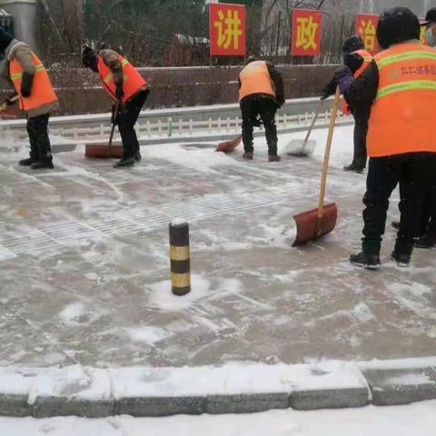 赤诚于心、奉献于行，迎战风雪、温暖寒冬           ——仁仁洁青龙分公司清雪工作纪实