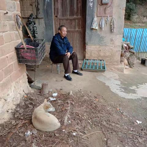 又闻山村狗叫声