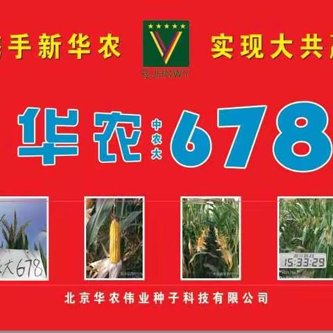 号外！号外！号外！齐鲁大地出大事了！