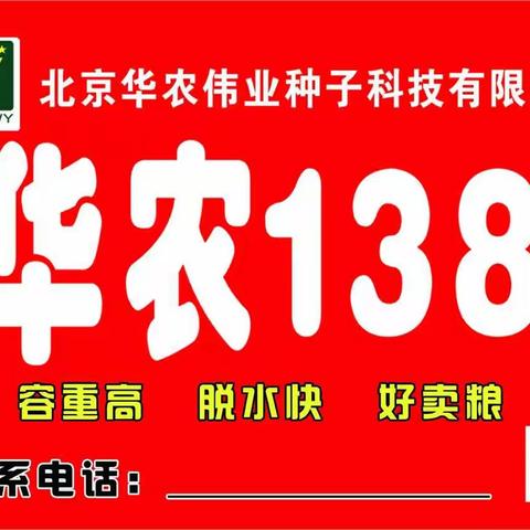 没有对比就没有伤害！——华农138与其它品种对比表现。