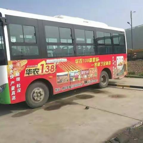 华农138就是好，一家种了全村找！