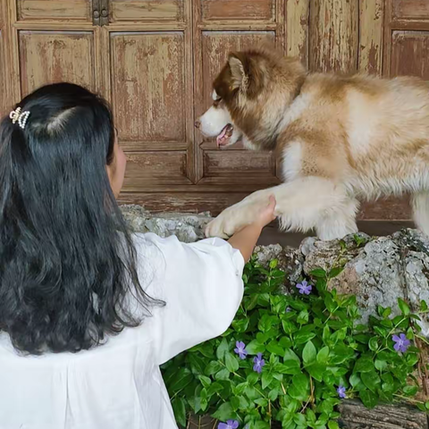 丽江，下次见！