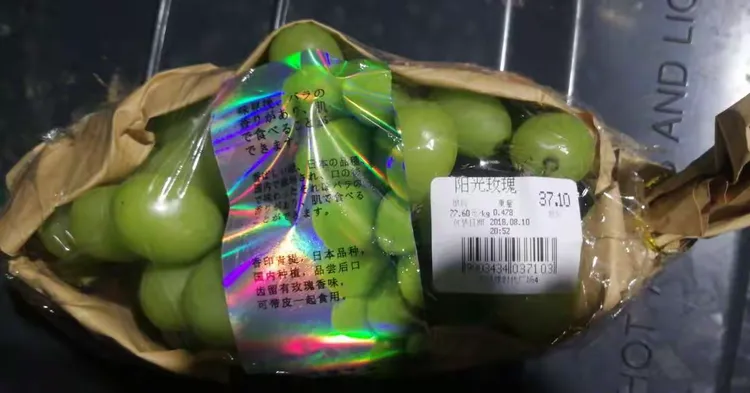 阳光玫瑰种苗价格
