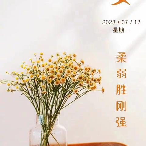 精一班学习感悟分享