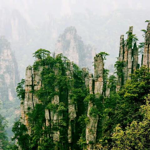 让我们一起飞一一《群峰耸翠》