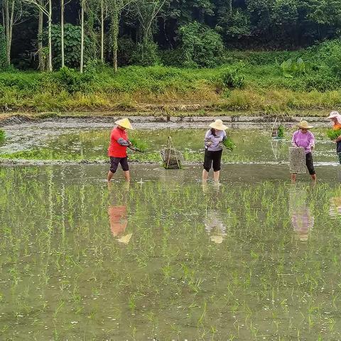 让我们一起飞一一《播种》