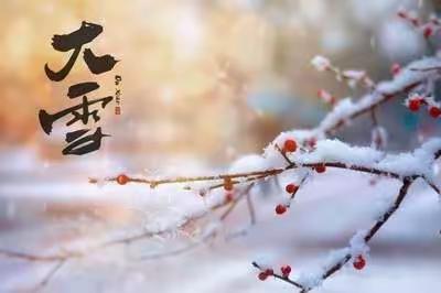 大雪至，寒冬始—跃华幼儿园二十四节气系列活动